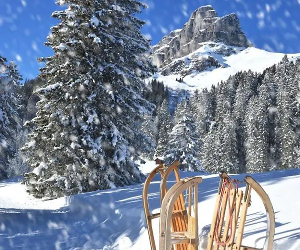 Apartman Parkareal 806 By Interhome Davos